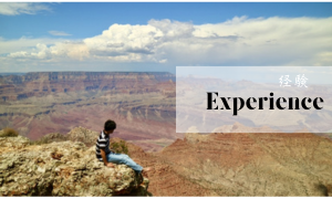 Experience
